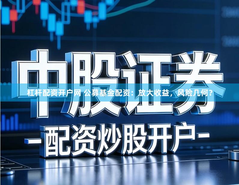 杠杆配资开户网 公募基金配资：放大收益，风险几何？