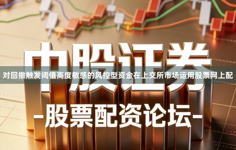 对回撤触发阈值高度敏感的风控型资金在上交所市场运用股票网上配