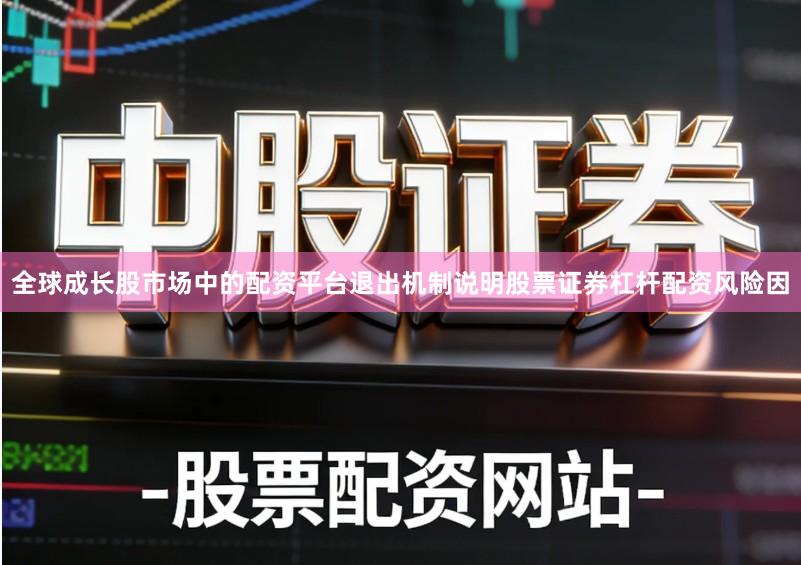全球成长股市场中的配资平台退出机制说明股票证券杠杆配资风险因